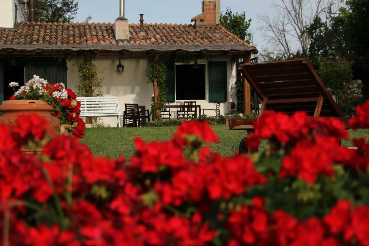 Vila Casa S.Paolo Rimini Exteriér fotografie